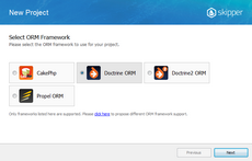 Select Doctrine ORM in Skipper New Project wizard