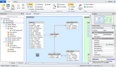 Select Propel entity tool in Skipper visual model