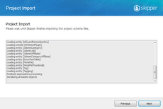 Wait for project import Wait for project import in Skipper Import schema defintions wizard