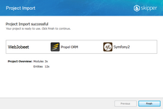 Imported project summary screen Imported project summary screen in Skipper Import schema defintions wizard