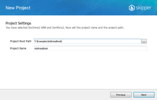 Enter your Skipper project directory and project name