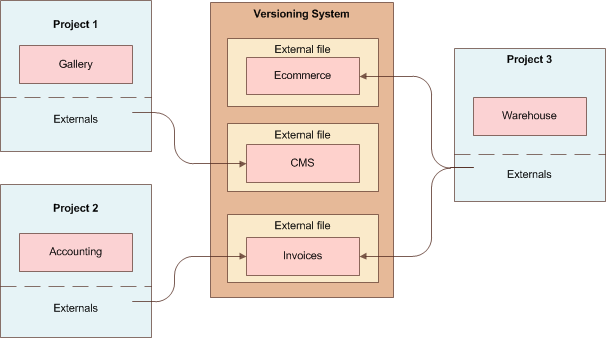 Versioning of Skipper modules