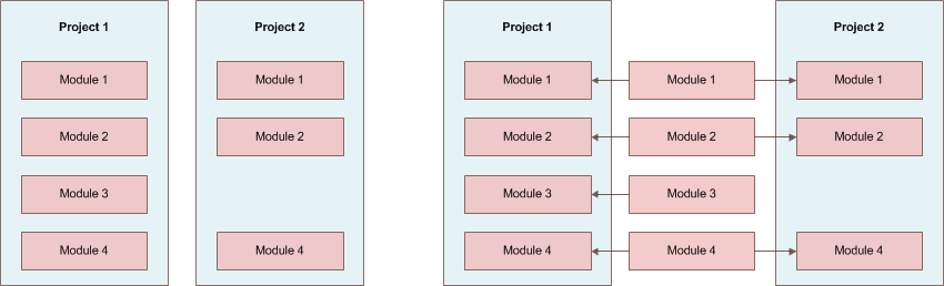 Sharing the Skipper modules with the same function