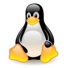 Linux